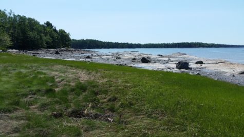 Grass leads to rocky shore at Carter Nature Preserve