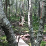 Hundred Acre Wood