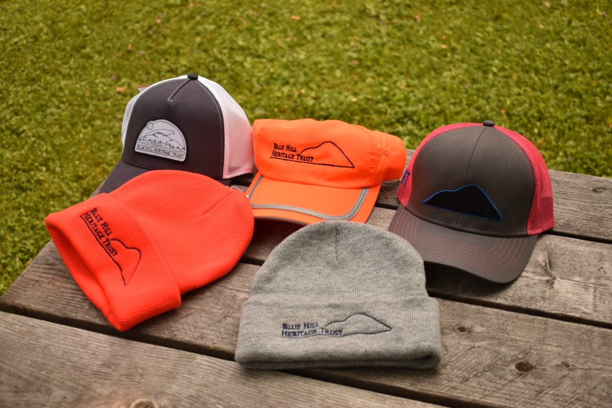 W.T.O. Ball Cap - Orange - Wild Trout Outfitters