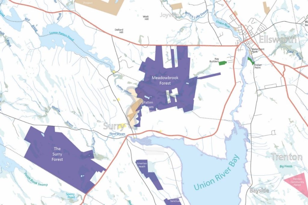 Meadowbrook Forest map