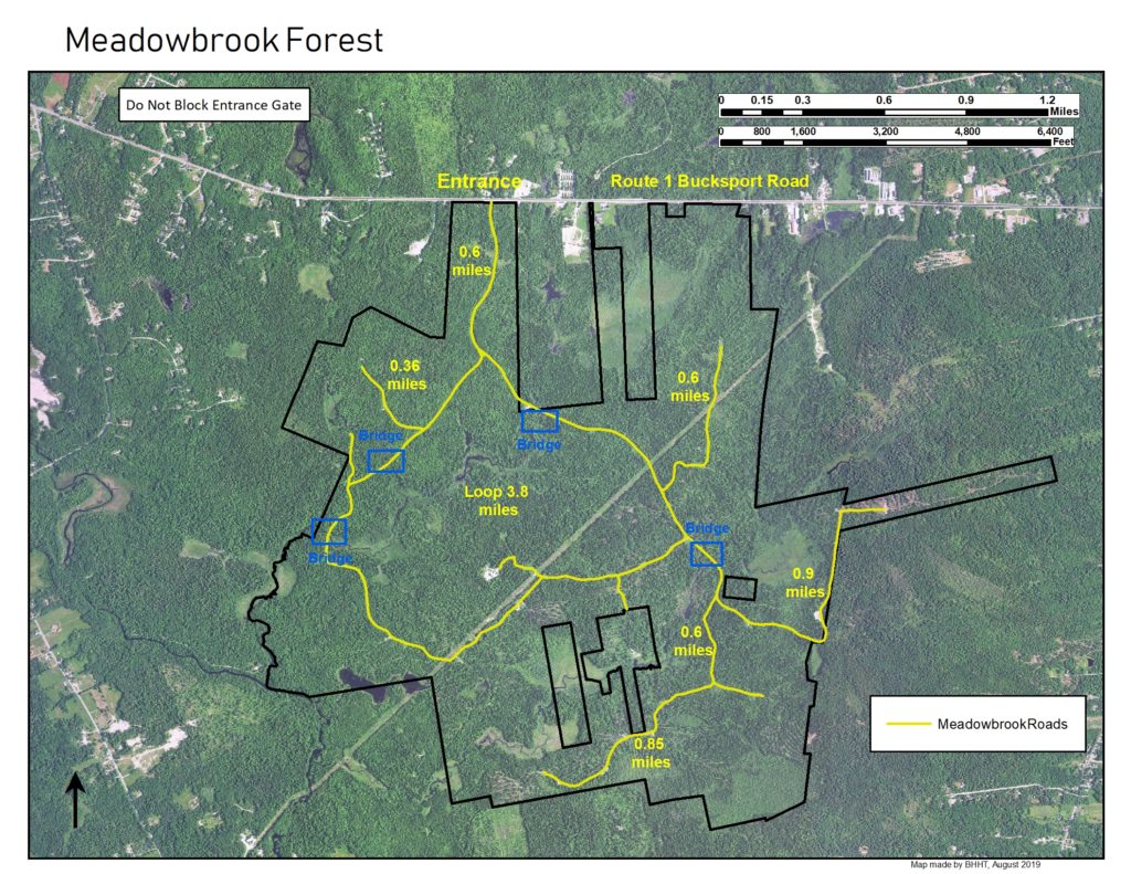 Meadowbrook Forest Blue Hill Heritage Trust