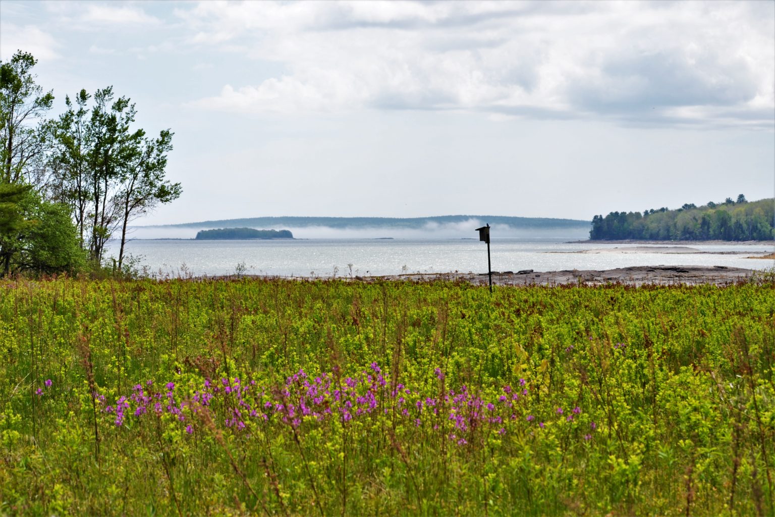 Carter Nature Preserve | Blue Hill Heritage Trust