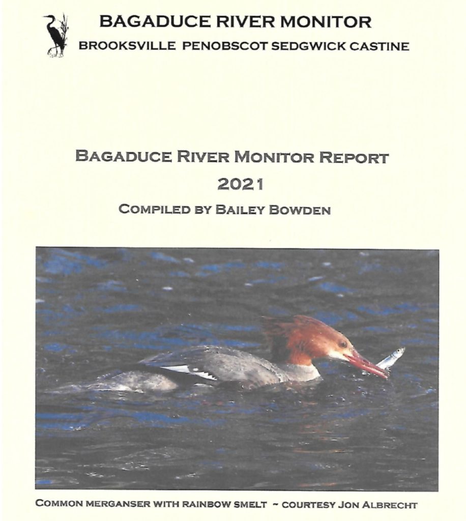 Bagaduce River Monitor report 2021 cover
