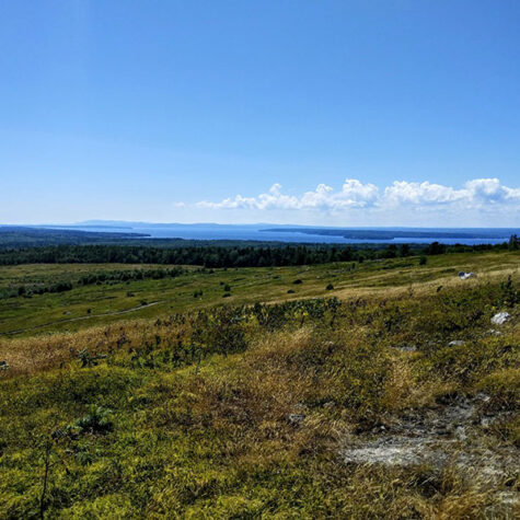 Penobscot Community Forest at Wallamatogus Mountain