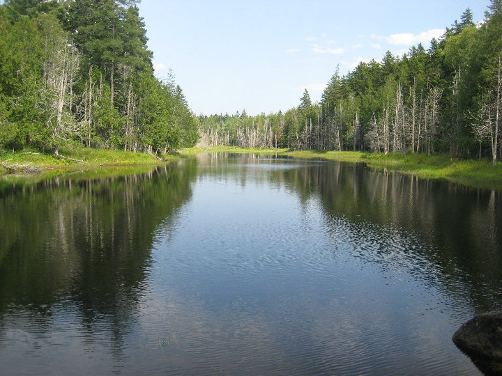 A Familyʼs Journey Towards Conservation | Blue Hill Heritage Trust